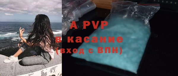 индика Пересвет