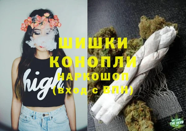 индика Пересвет