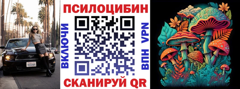 Галлюциногенные грибы Cubensis  как найти закладки  Суздаль 